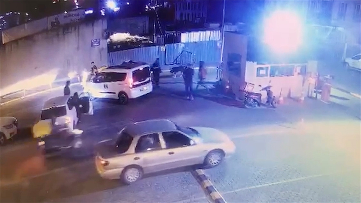 İddianamede, hayvansever tarafından bakılan sokak köpeğini otomobiliyle ezen kişinin, "bir