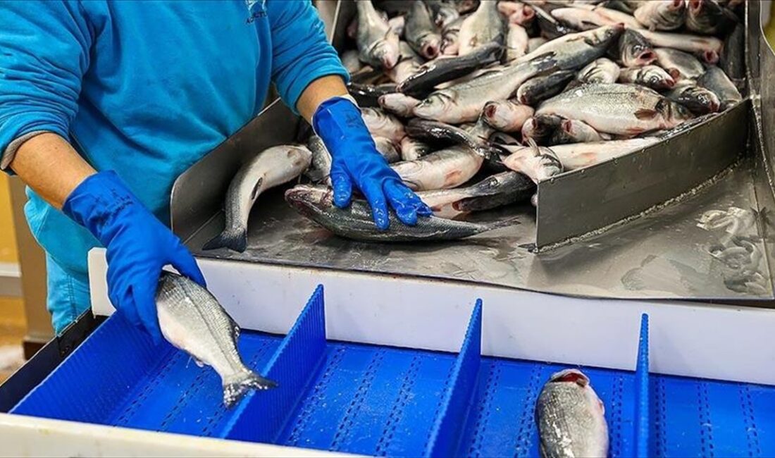Tarım ve Orman Bakanlığı Balıkçılık ve Su Ürünleri Genel Müdürü