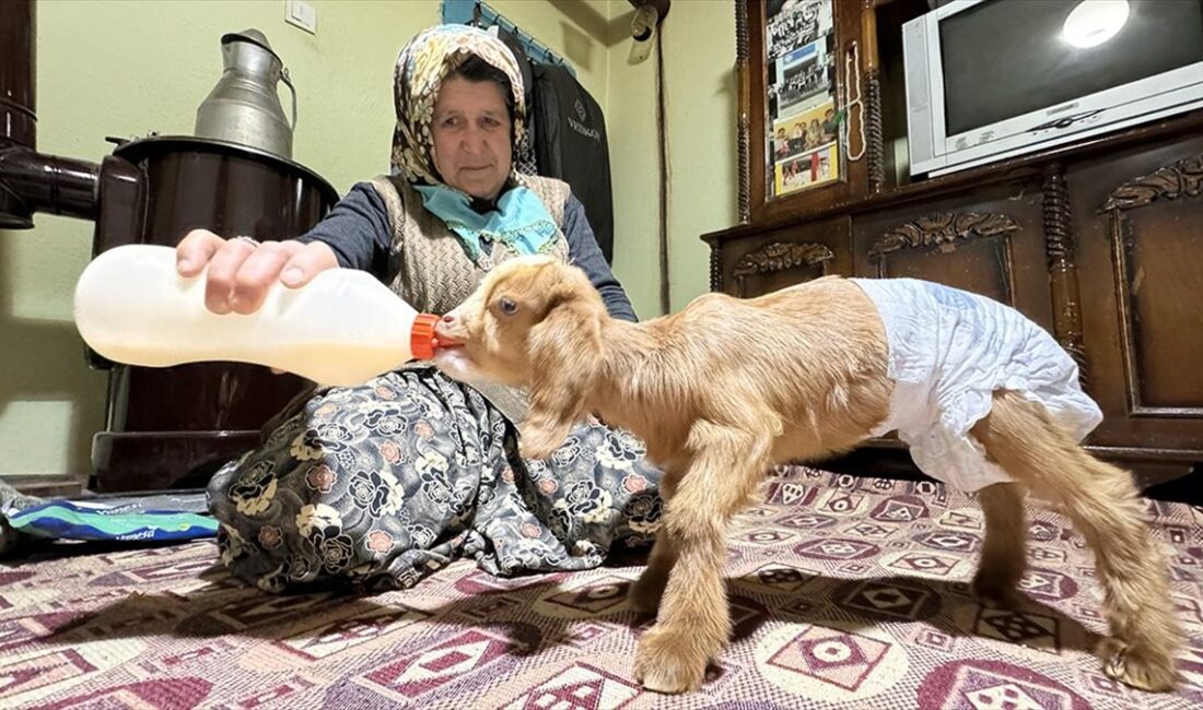 Burdur'un merkeze bağlı Gökçebağ köyünde yaşayan her ikisi de 55