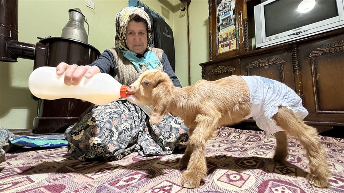 Burdur'un merkeze bağlı Gökçebağ köyünde yaşayan her ikisi de 55