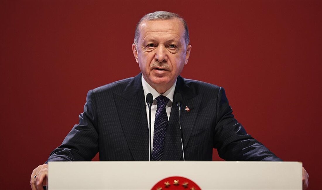 Cumhurbaşkanı Recep Tayyip Erdoğan'ın, 13 Şubat'ta "Sürdürülebilirlik ve Yeni Küresel