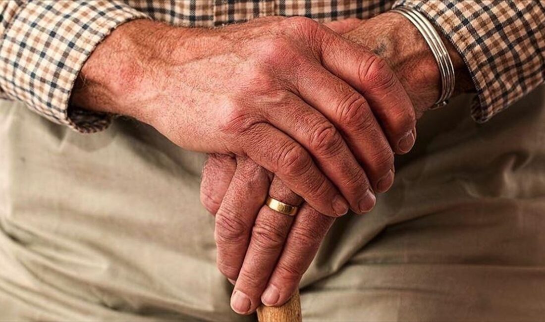 Türkiye'de yaşlı nüfusun toplam nüfus içindeki oranı, 2023'te yüzde 10,2'ye