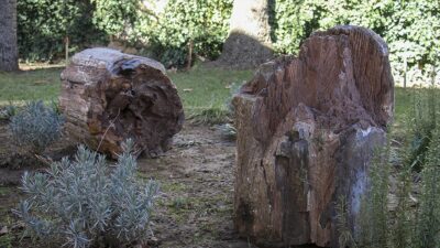 Uşak'ın Banaz ilçesinde yol yapımı sırasında bulunan ve 10 ila