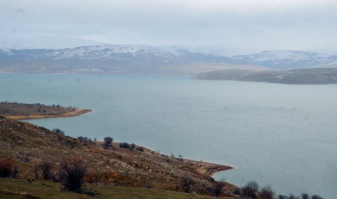 Van, Hakkari ve Muş'ta etkili olan yağışlarla, enerji üretimi, içme