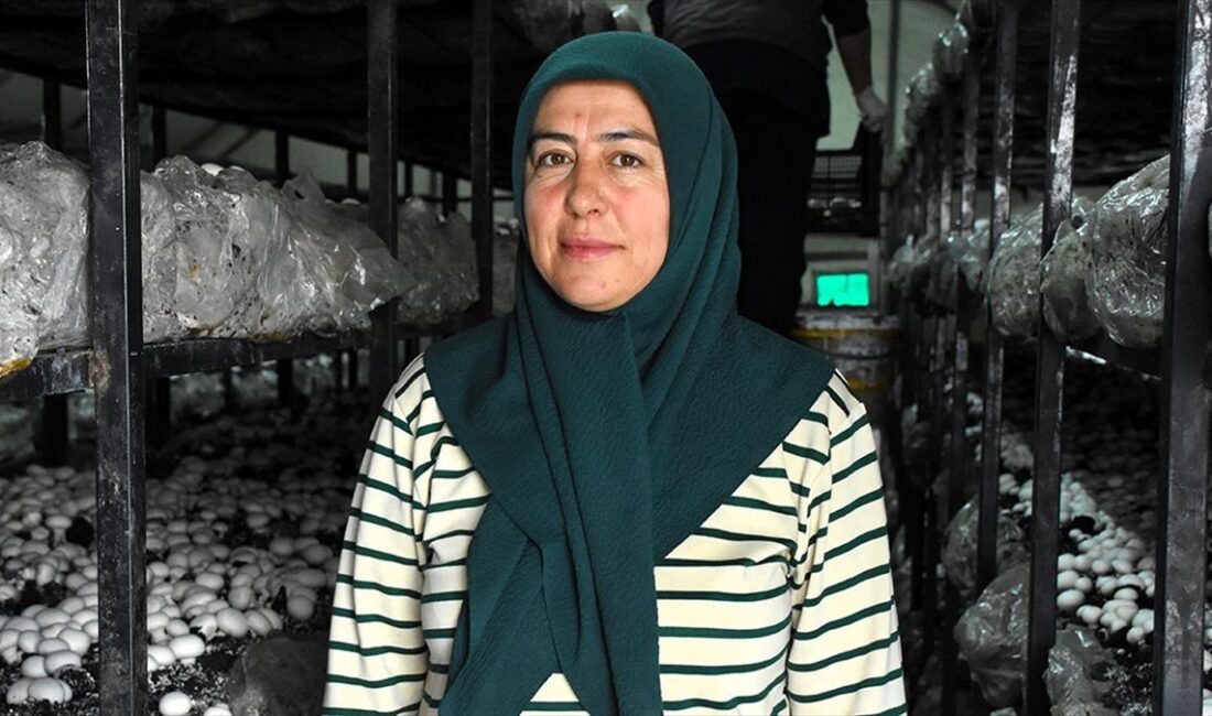 AKSARAY (AA) – Merkeze bağlı Doğantarla köyünde ailesiyle yaşayan 45
