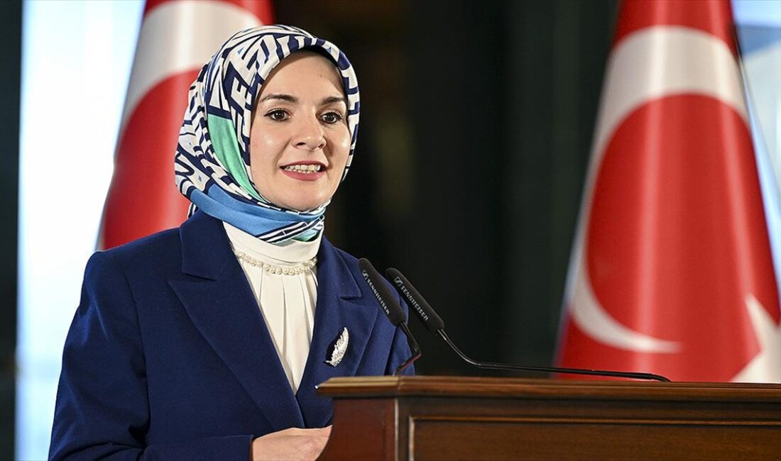 Aile ve Sosyal Hizmetler Bakanı Göktaş, "Kamu ve özel sektör