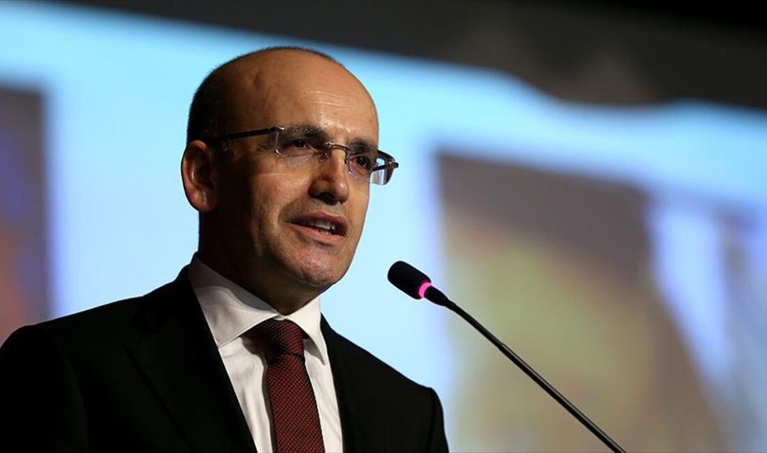 Hazine ve Maliye Bakanı Şimşek, "Şubat ayında da devam eden