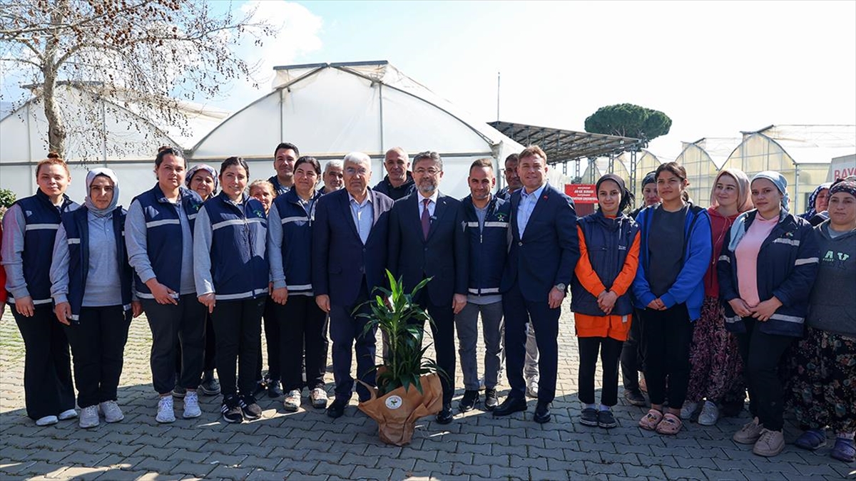 Tarım ve Orman Bakanı İbrahim Yumaklı, süs bitkileri üretim alanının