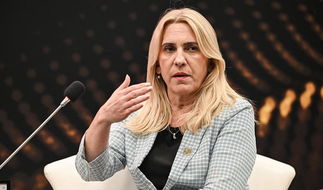 Bosna Hersek Devlet Başkanlığı Konseyinin Sırp üyesi Zeljka Cvijanovic, çatışmalarda