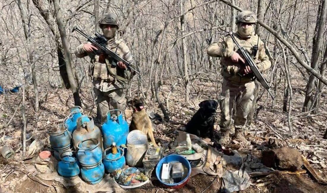 İçişleri Bakanı Ali Yerlikaya, 5 ilde düzenlenen "Bozdoğan-13" operasyonlarında teröristlere