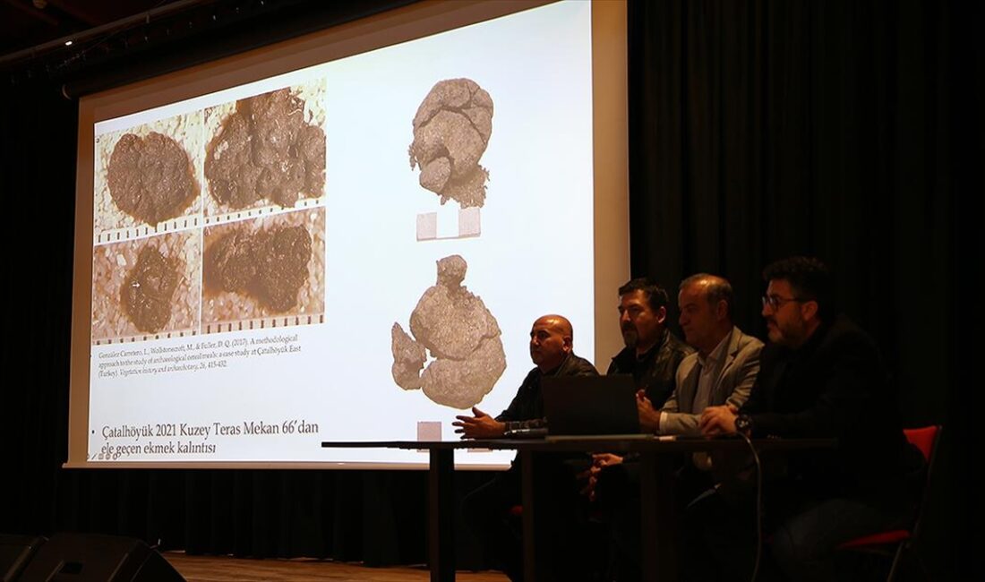 Dünyada kentleşmenin olduğu ilk yerlerden Çatalhöyük'teki kazıda 8 bin 600
