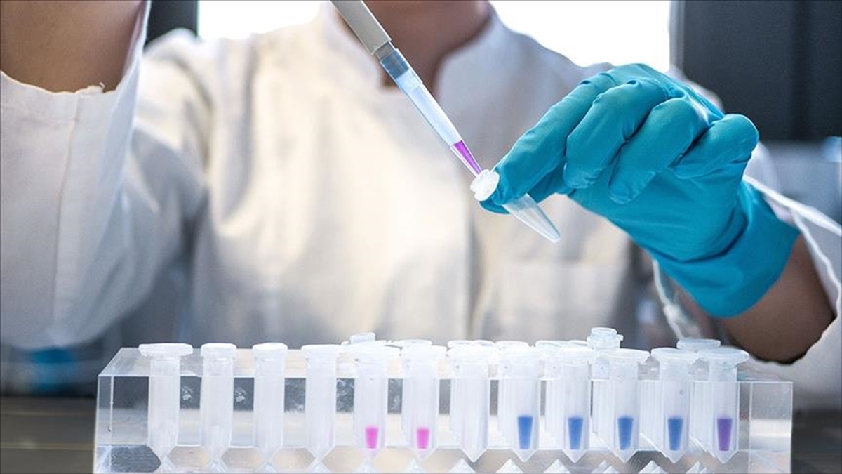 Bilim insanları, Nobel ödüllü gen düzenleme yöntemi CRISPR'ı kullanarak enfekte