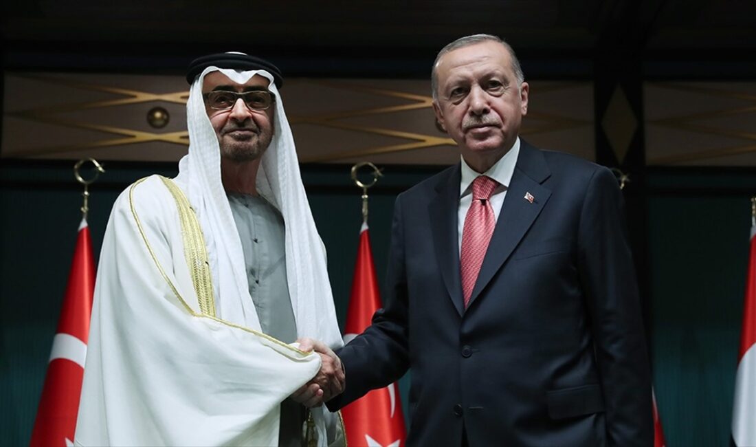 Cumhurbaşkanı Recep Tayyip Erdoğan, Birleşik Arap Emirlikleri (BAE) Devlet Başkanı