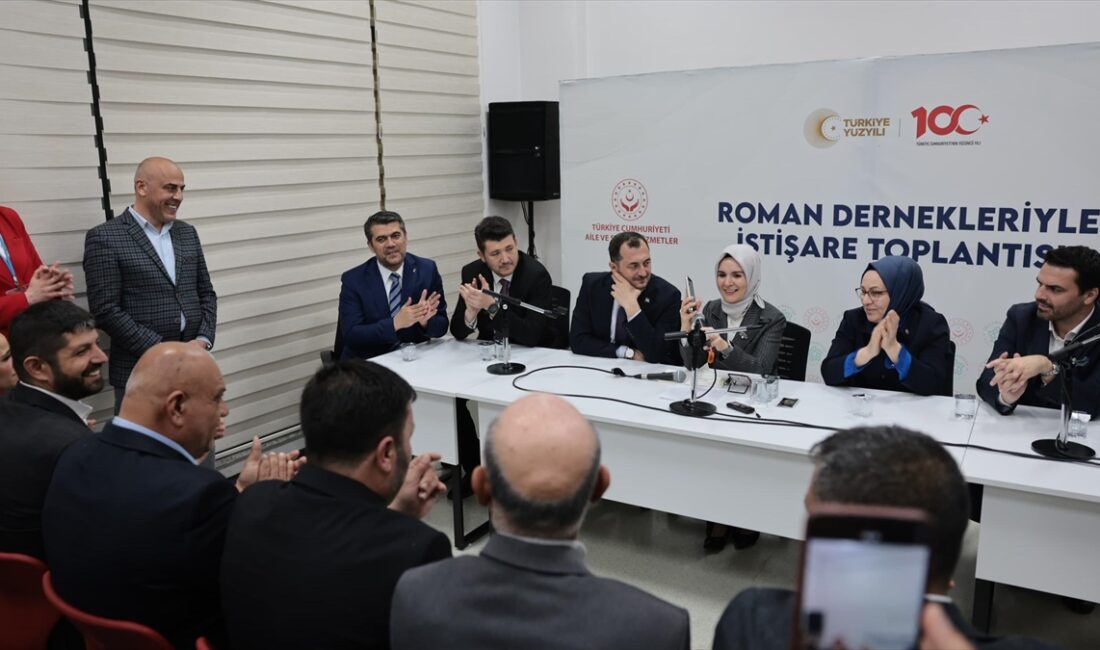 Cumhurbaşkanı Erdoğan, "Roman kardeşlerim kendilerini vatandaş yerine koymayanlara sandıklarda en