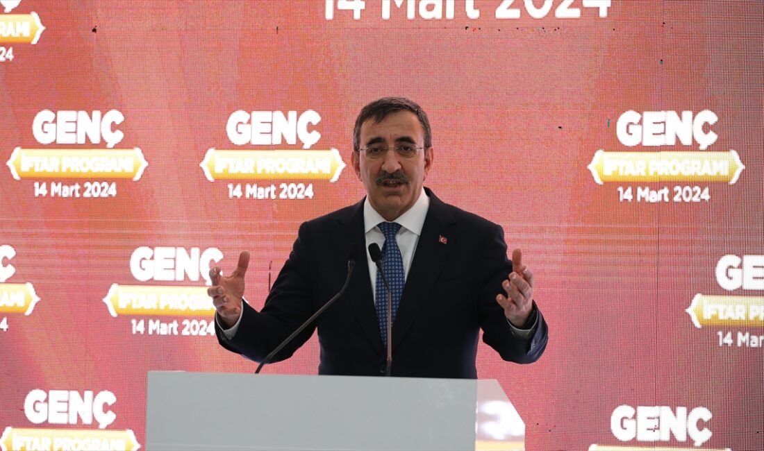 Cumhurbaşkanı Yardımcısı Yılmaz, "Hayat pahalılığı mücadelemizi yaparken geniş kesimleri olabildiğince