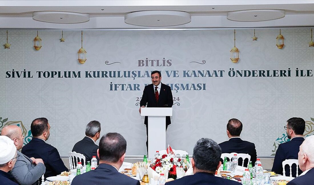 Cumhurbaşkanı Yardımcısı Yılmaz, "Cudi'yi, Gabar'ı, Tendürek'i, Bestler Dereler'i artık terörden