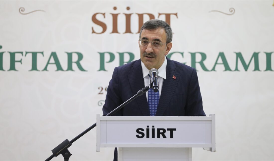 Cumhurbaşkanı Yardımcısı Yılmaz, "Uzun zamandır kullanılmamış bir potansiyel vardı, terör