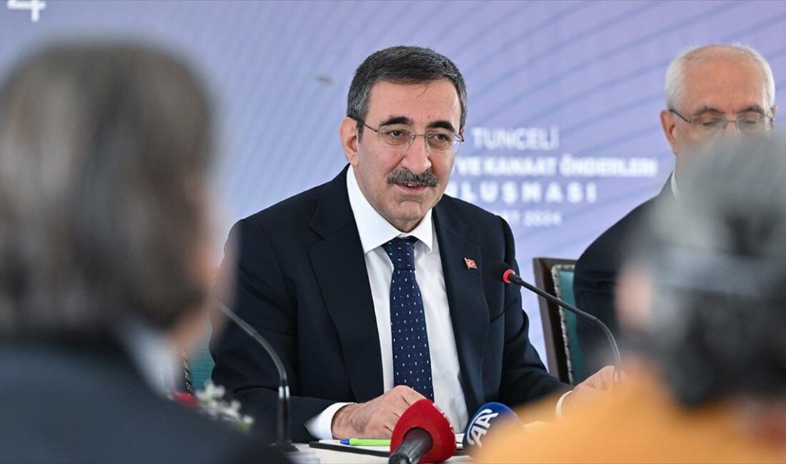 Cumhurbaşkanı Yardımcısı Yılmaz, "Hiç kimsenin aracılığına ihtiyaç duymadığımızı, özellikle bu