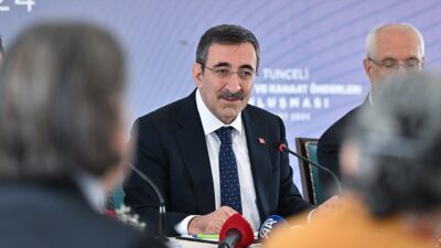 Cumhurbaşkanı Yardımcısı Yılmaz, "Hiç kimsenin aracılığına ihtiyaç duymadığımızı, özellikle bu