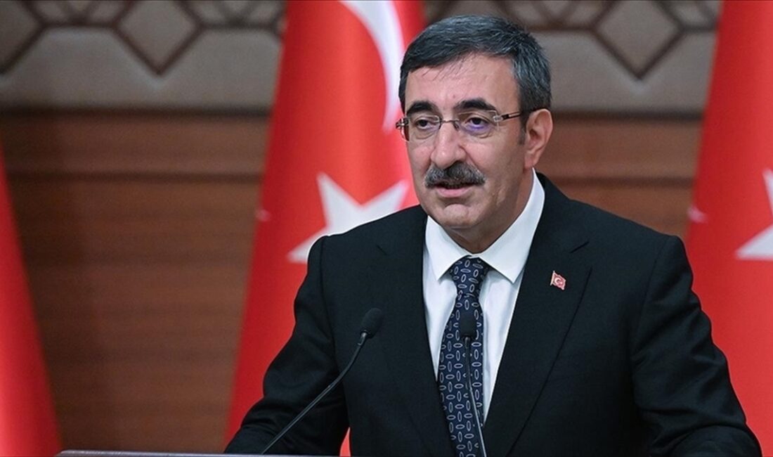 Cumhurbaşkanı Yardımcısı Yılmaz, "Ocak ayı işsizlik verileri, aralık ayına göre