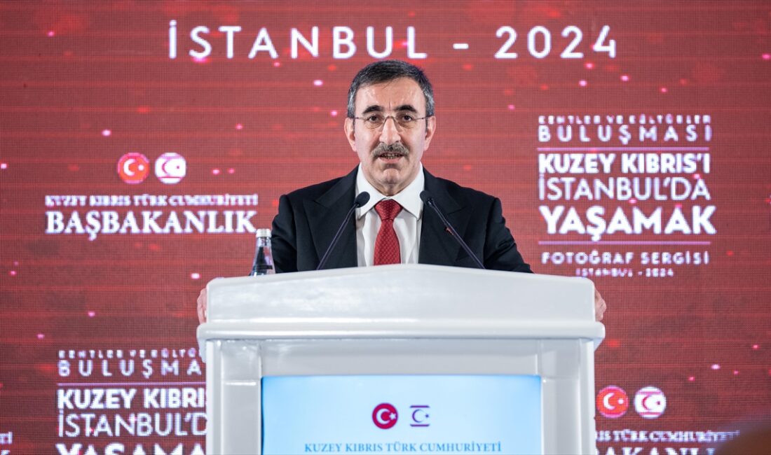 Cumhurbaşkanı Yardımcısı Yılmaz, "Kıbrıs Türklerinin özden gelen hakları olan egemen
