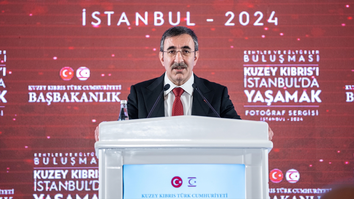 Cumhurbaşkanı Yardımcısı Yılmaz, "Kıbrıs Türklerinin özden gelen hakları olan egemen