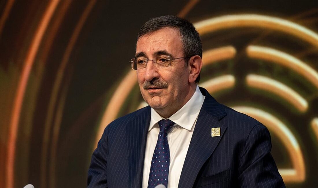 Cumhurbaşkanı Yardımcısı Cevdet Yılmaz, "Depremin ağır yüküne, dünyadaki tüm olumsuz