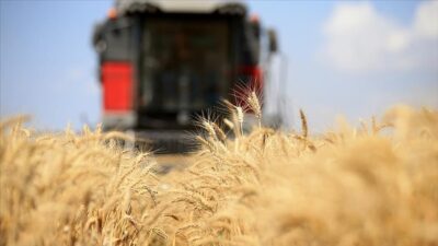 Birleşmiş Milletler Gıda ve Tarım Örgütü (FAO), küresel gıda fiyatlarının