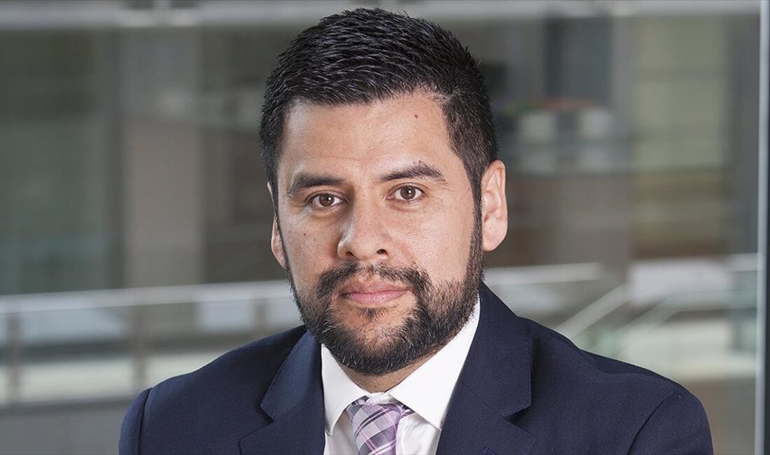 Uluslararası kredi derecelendirme kuruluşu Fitch Ratings'in Kıdemli Direktörü ve Türkiye