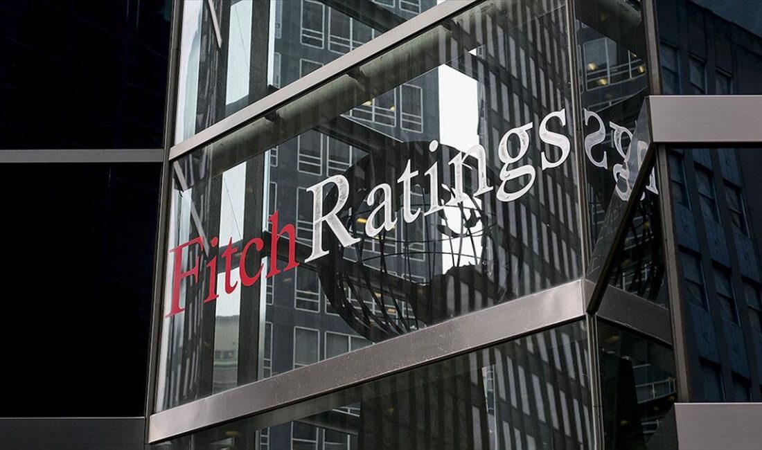 Uluslararası kredi derecelendirme kuruluşu Fitch, Türkiye Varlık Fonu'nun (TVF) kredi