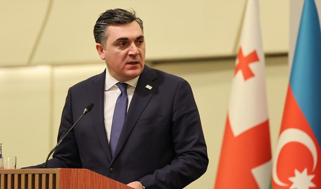 Gürcistan Dışişleri Bakanı İlia Darçiaşvili, Türkiye, Gürcistan ve Azerbaycan'ın, siyasi,