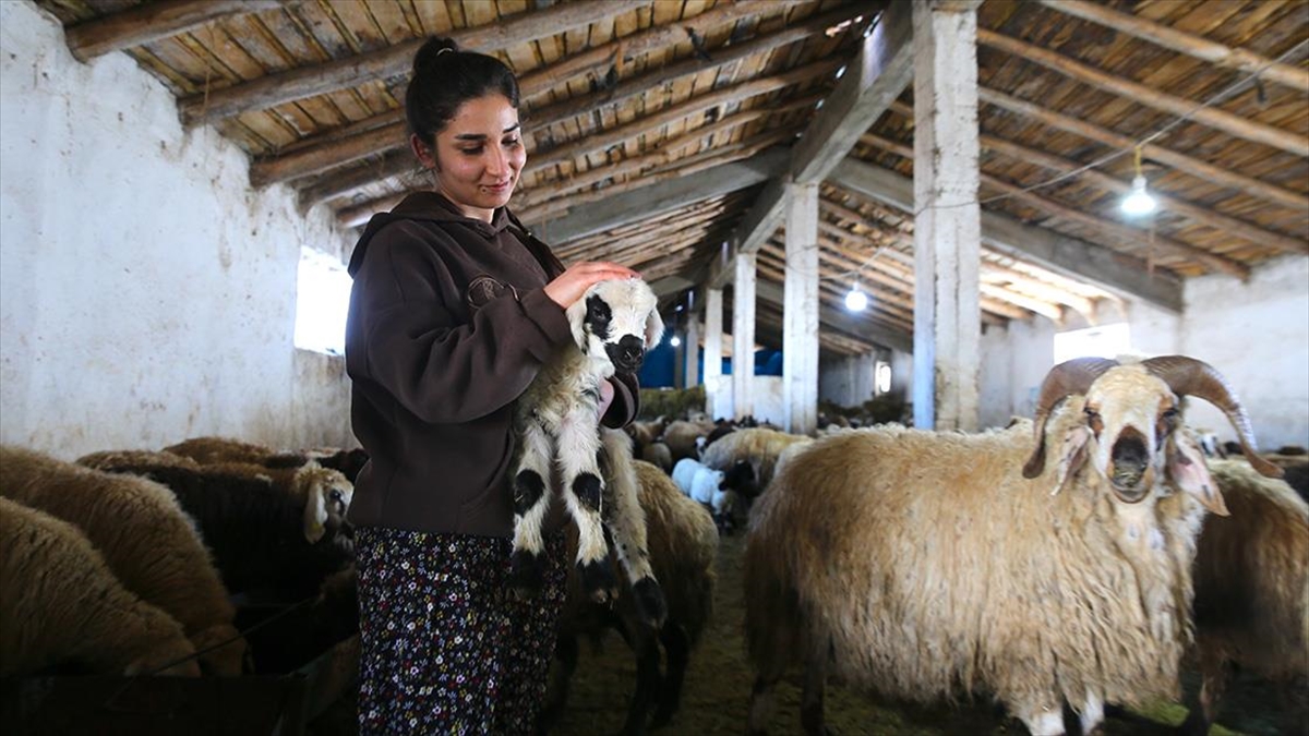 Proje kapsamında hibe almaya hak kazanan üniversite mezunu 66 girişimci,
