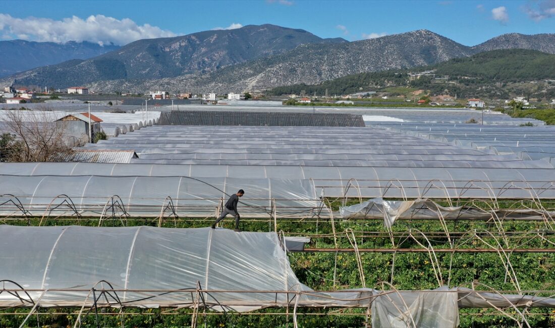 ANTALYA (AA) – Antalya'da dün hortum nedeniyle seraların zarar gördüğü
