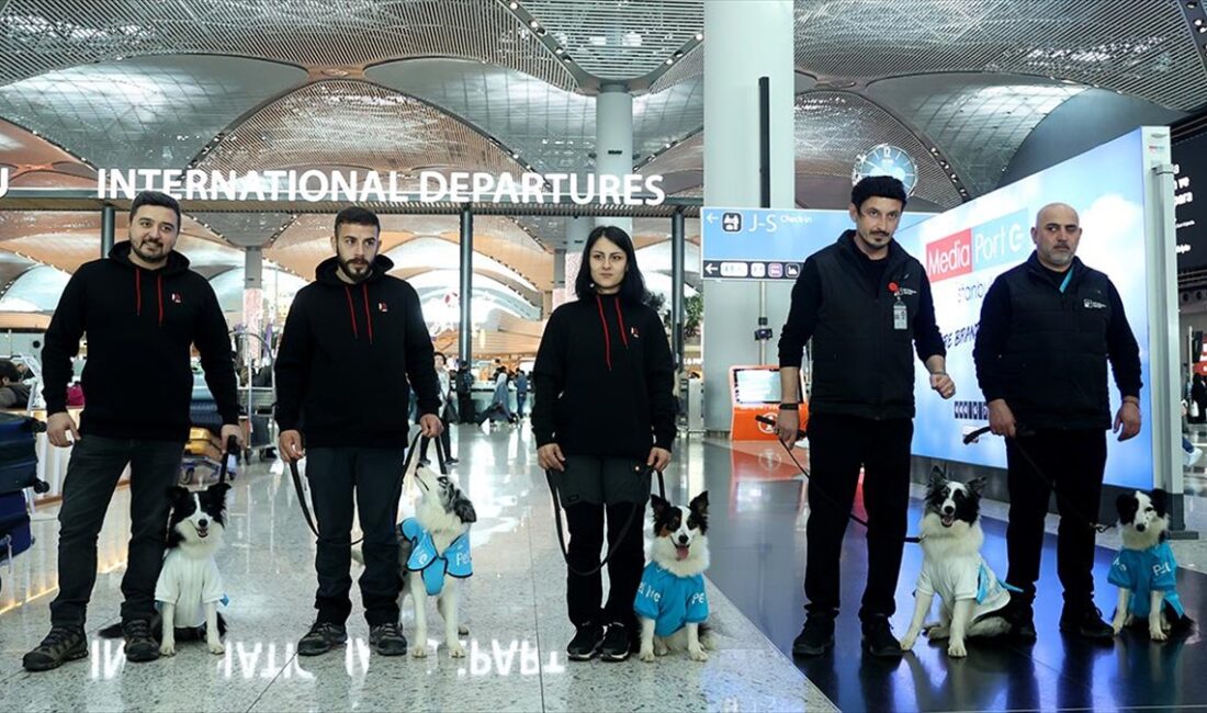 İSTANBUL (AA) – Pilot olarak başlatılan proje kapsamında, özel eğitimli