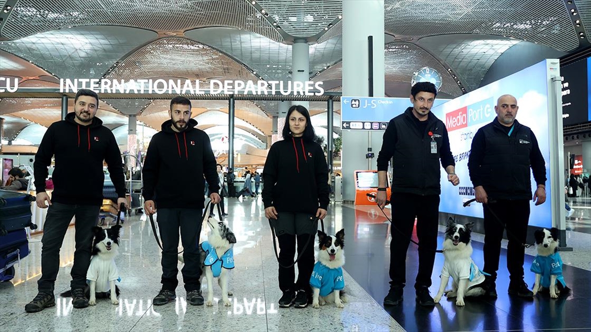 İSTANBUL (AA) – Pilot olarak başlatılan proje kapsamında, özel eğitimli