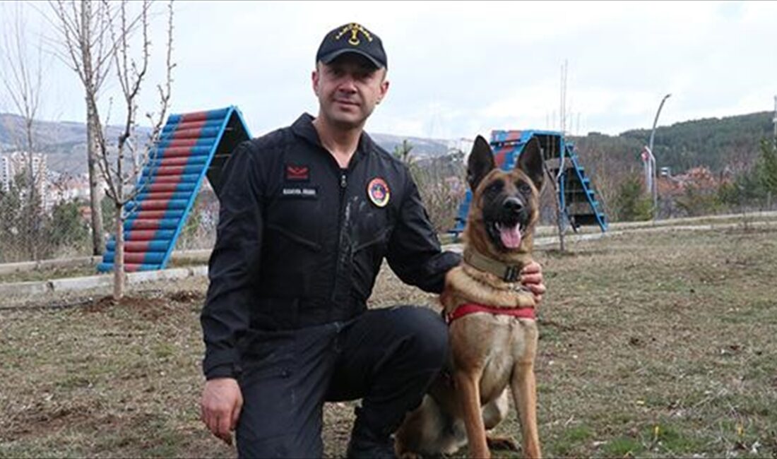 Yozgat İl Jandarma Komutanlığında görevli hassas burunlu köpeklerin arasına katılan