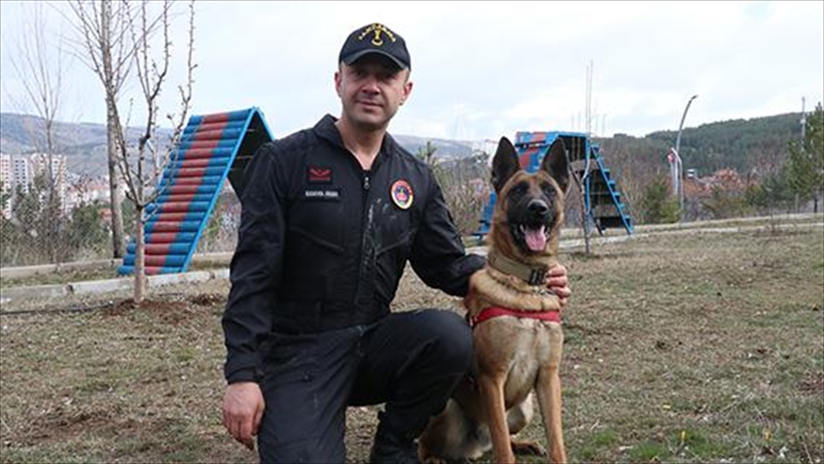 Yozgat İl Jandarma Komutanlığında görevli hassas burunlu köpeklerin arasına katılan