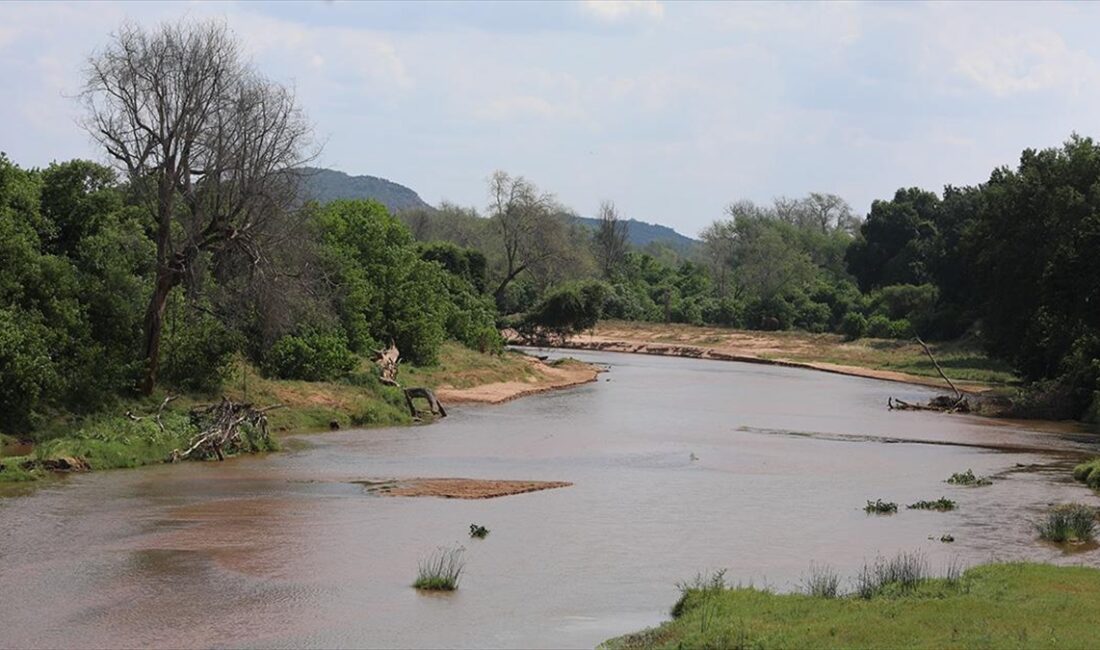 Güney Afrika Cumhuriyeti'nin Kruger Ulusal Parkı'nın kadim yerel sakinlerinden Makuleke