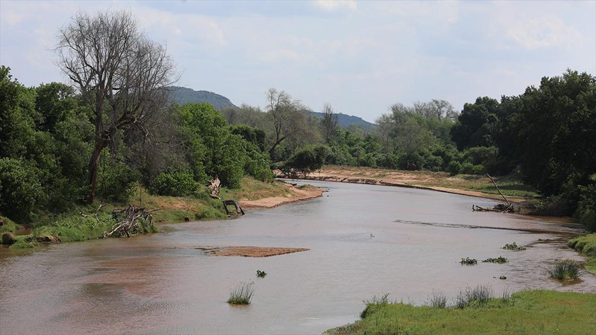 Güney Afrika Cumhuriyeti'nin Kruger Ulusal Parkı'nın kadim yerel sakinlerinden Makuleke