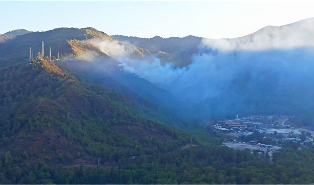 Muğla'nın Marmaris ilçesindeki orman yangınını çıkardığı gerekçesiyle yargılanan sanığa 19