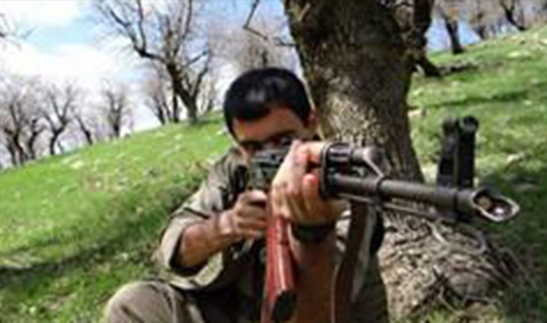 Milli İstihbarat Teşkilatı (MİT), terör örgütü PKK/KCK'nın sözde İran Gençlik