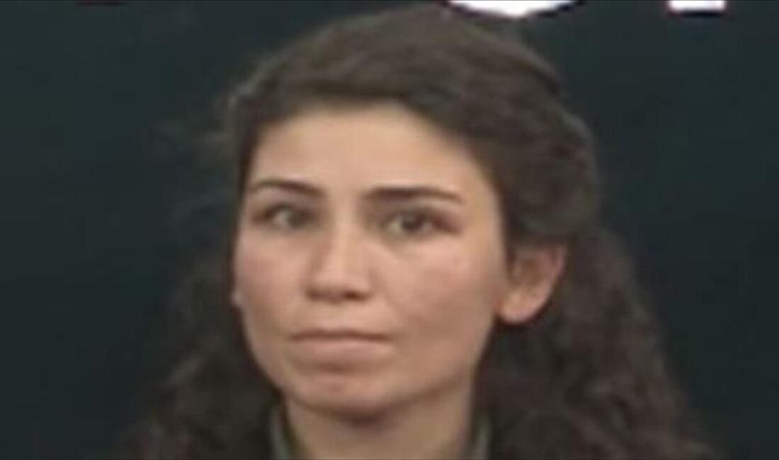 Milli İstihbarat Teşkilatı (MİT), terör örgütü PKK/KCK'nın sözde "gençlik topluluğu