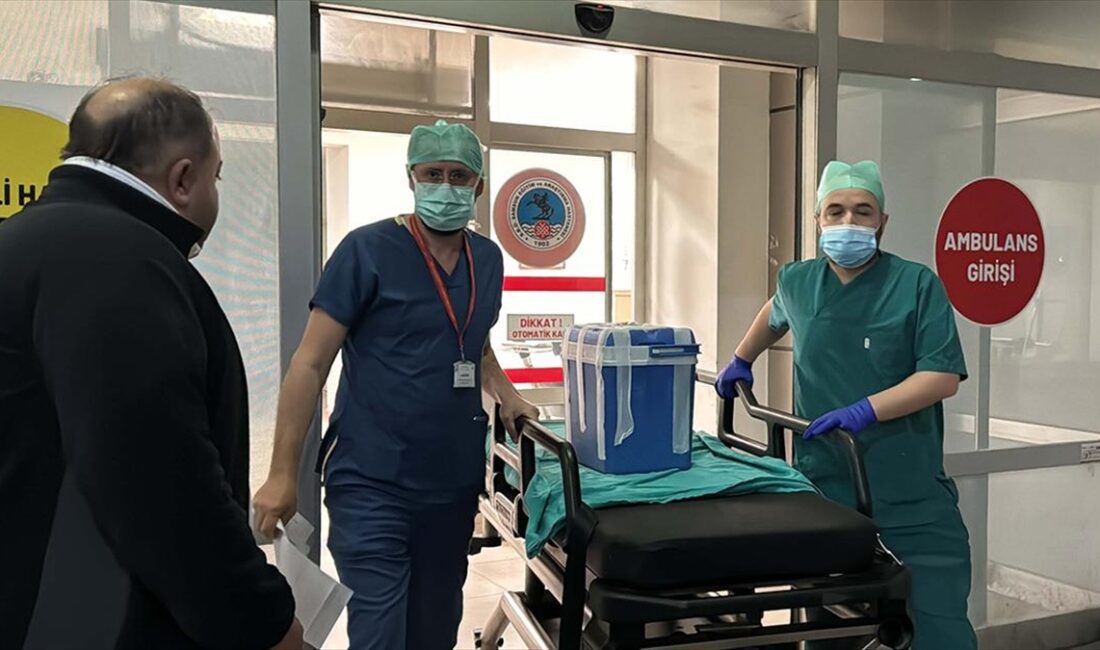 Samsun'da motosiklet kazasında ağır yaralanan ve tedavi gördüğü hastanede beyin