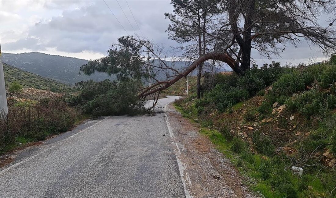 Muğla'nın Bodrum ve Marmaris ilçelerinde kuvvetli rüzgar ve sağanak, günlük