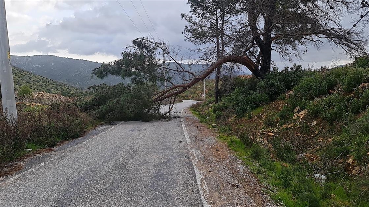 Muğla'nın Bodrum ve Marmaris ilçelerinde kuvvetli rüzgar ve sağanak, günlük