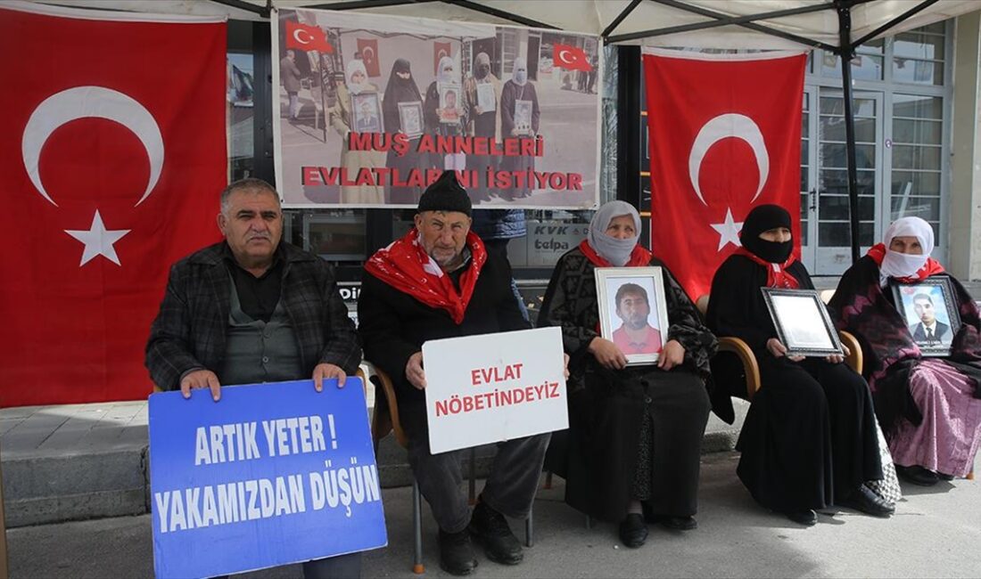 Muş'ta çocuklarının terör örgütü PKK tarafından dağa götürülmesinden DEM Parti'yi