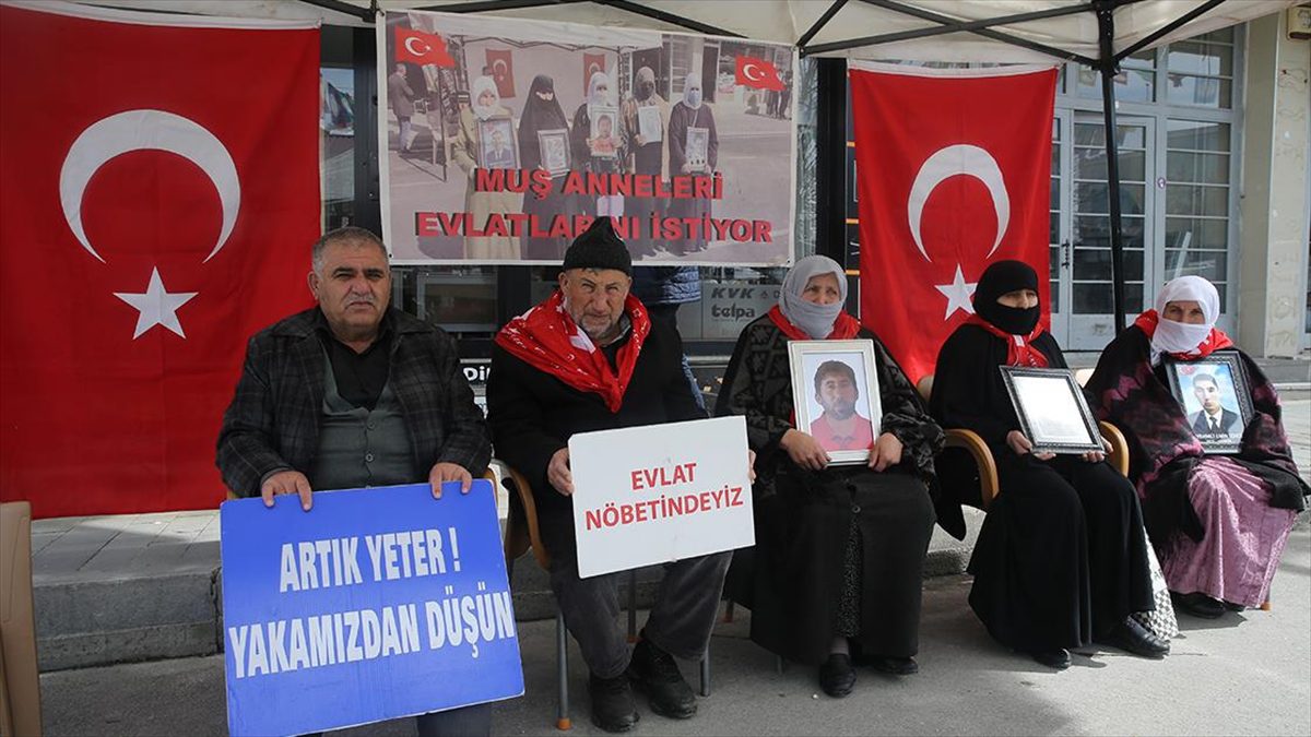 Muş'ta çocuklarının terör örgütü PKK tarafından dağa götürülmesinden DEM Parti'yi