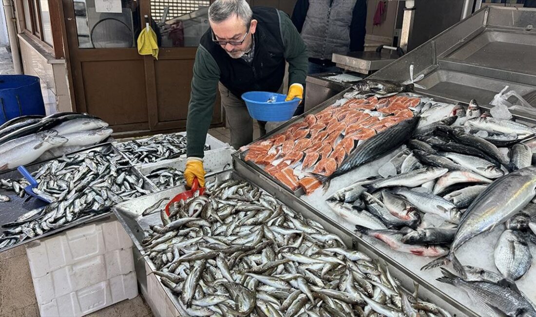 Sinop'ta ramazan ayıyla birlikte balık satışlarında yüzde 50'ye varan düşüş