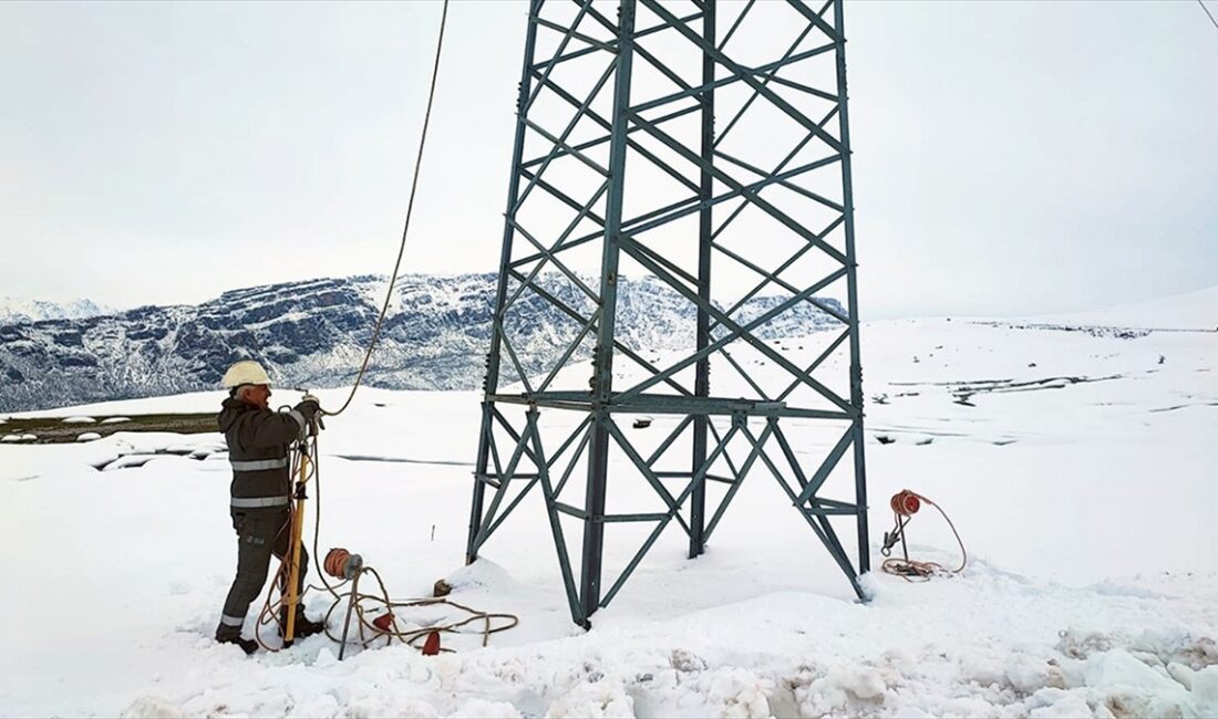 Siirt'in Pervari ilçesinde kar ve tipi nedeniyle elektrik iletim hattında