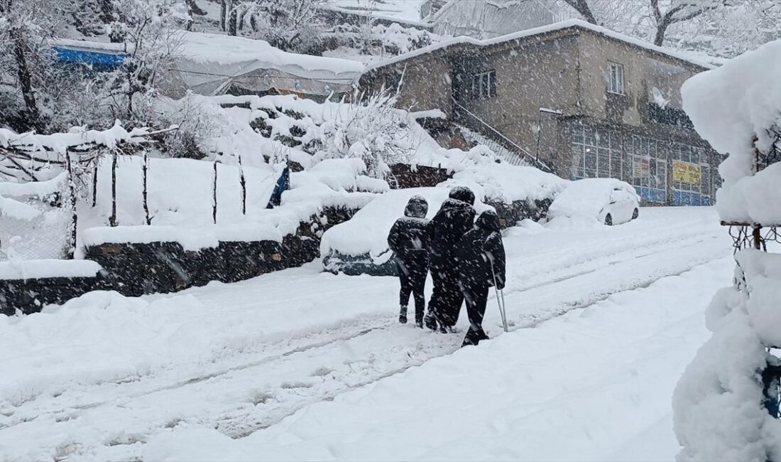 ŞIRNAK (AA) – Valiliğin sosyal medya hesaplarından yapılan açıklamada, Beytüşşebap